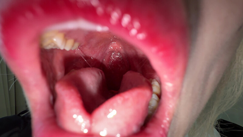 「【個人撮影】安堂はるの 童貞卒業!?初喉チンコ触り」のサンプル画像5枚目