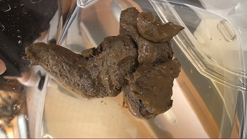 「【AIリマスター版】プレミア美人うんち弐」のサンプル画像15枚目