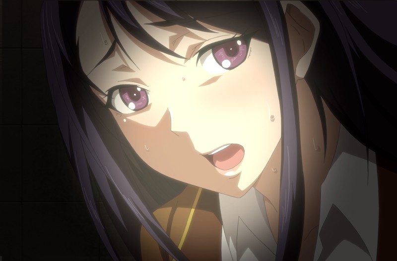 「OVA 受胎島 ＃1 『どうしてアンタみたいなブサ男に種付けされなきゃいけないのよ！？』」のサンプル画像6枚目