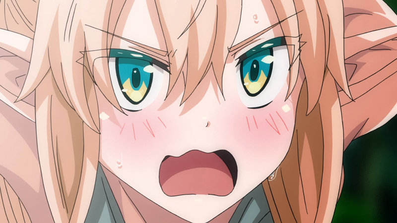 「異世界来たのでスケベスキルで全力謳歌しようと思う THE ANIMATION 第2巻」のサンプル画像3枚目