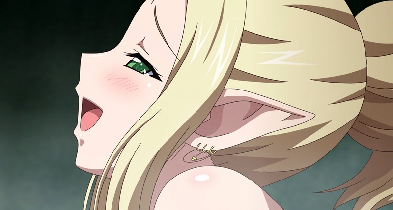 「黒獣～気高き聖女は白濁に染まる～ 驚愕の陰惨劇 清楚可憐な幼き姫が虜になったのは、黒光りした生殖器 編」のサンプル画像14枚目