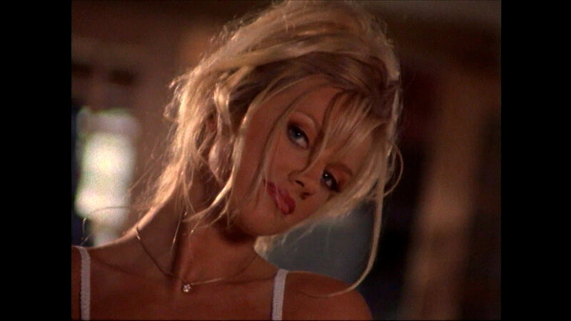 「PLAYBOY Playmate Anthology No.2」のサンプル画像15枚目