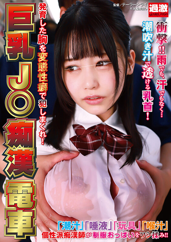 「巨乳J○痴●電車 発育した胸を変態性癖で犯しまくれ！」のサンプル画像1枚目