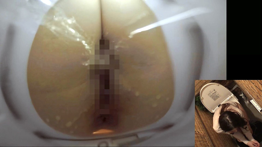 「覗き見厳禁! 女子トイレ秘密オナニー 40人」のサンプル画像11枚目