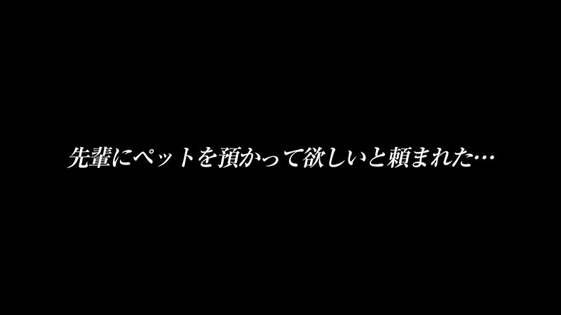 「出演するAV女優の名演技に尊重と歓声を。」のサムネイル